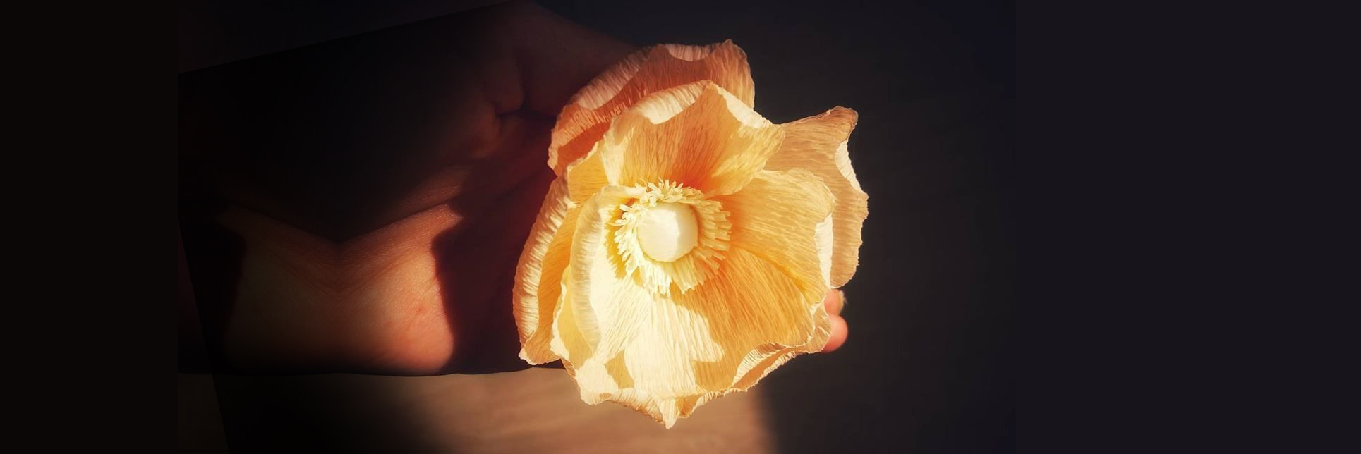 The Flower Corner - Scurta istorie a florilor din hartie